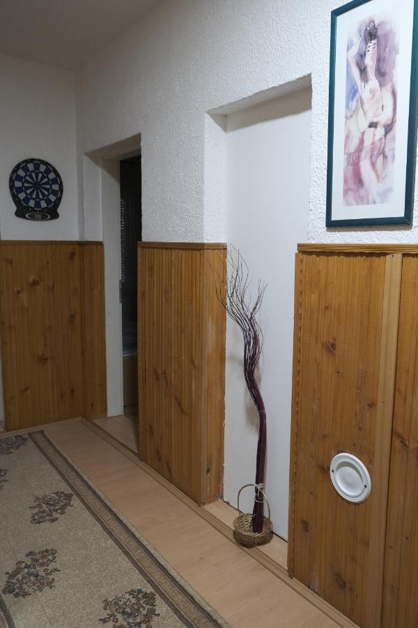 Nikodijevic Apartment Vrsac Ngoại thất bức ảnh